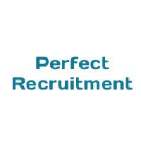 Perfect Recruitment image 1